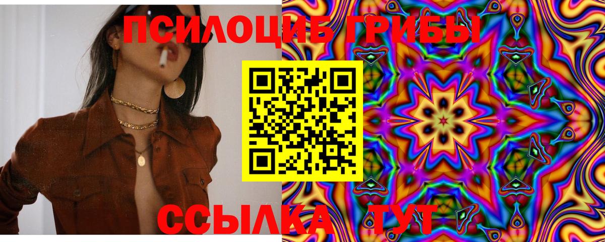 Псилоцибиновые грибы Cubensis  Вход с VPN  как найти   Стрежевой 